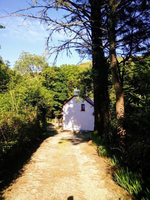 The Limehouse Cottage Killybegs Εξωτερικό φωτογραφία